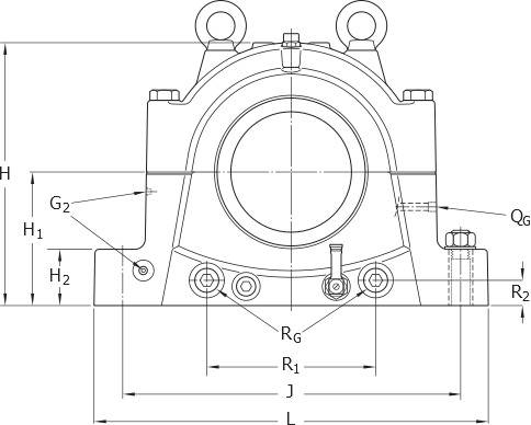 Imagen 3 de SNL 3144 TURT