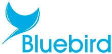 Imagen de Bluebird