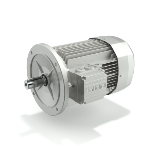 Imagen 1 de BE 63B 4 230/400-50 IP55 CLF B5 E3 RC